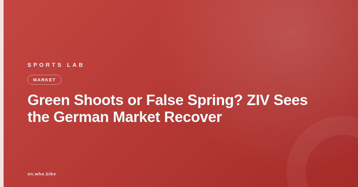 Green Shoots or False Spring? ZIV Sees the German Market Recover